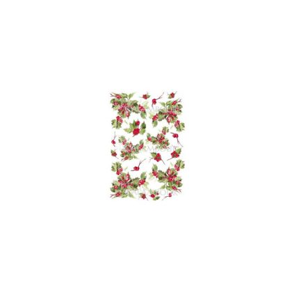 calam papier ryzostokrz49x34